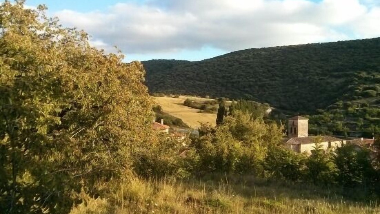 Photo of Outdoor in Ahedo del Butron