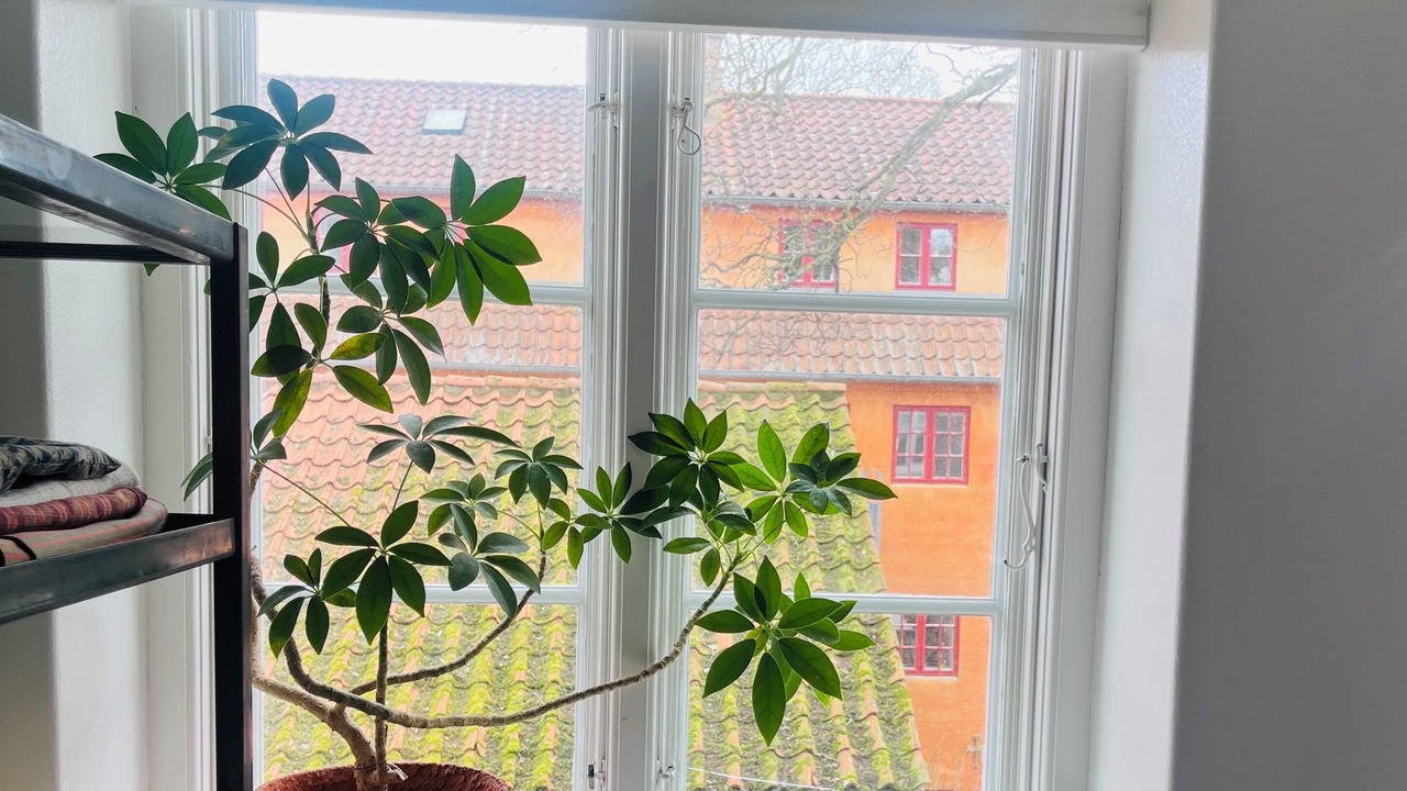 Photo of Others in Christianshavn