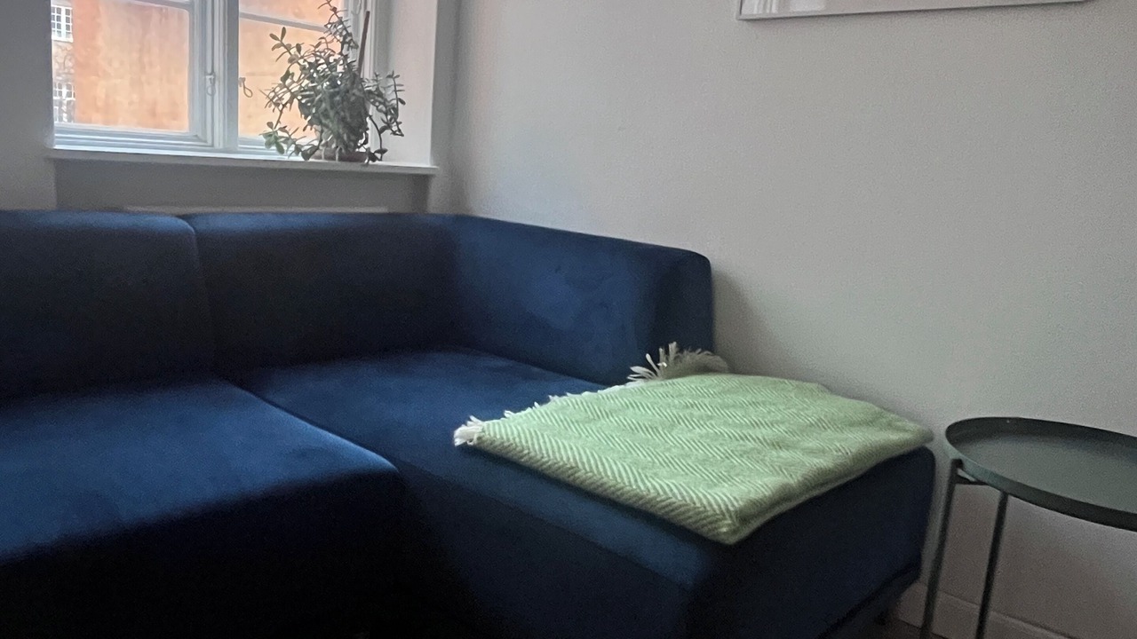 Photo of Livingroom in Christianshavn