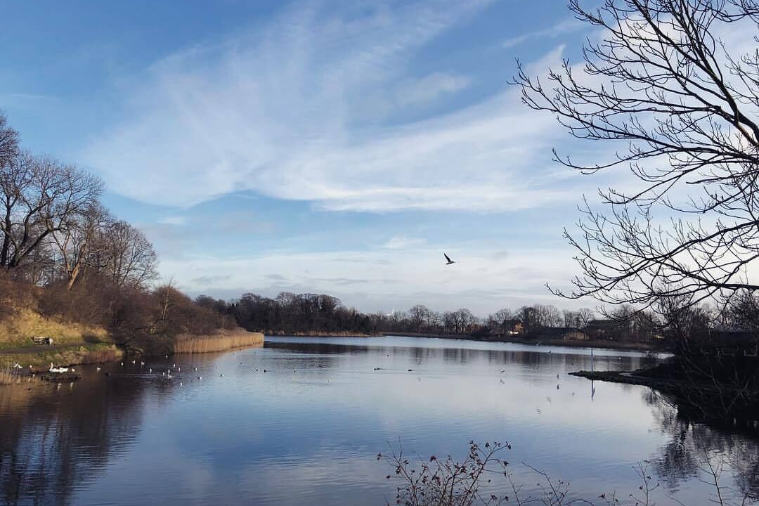 Photo of Others in Christianshavn