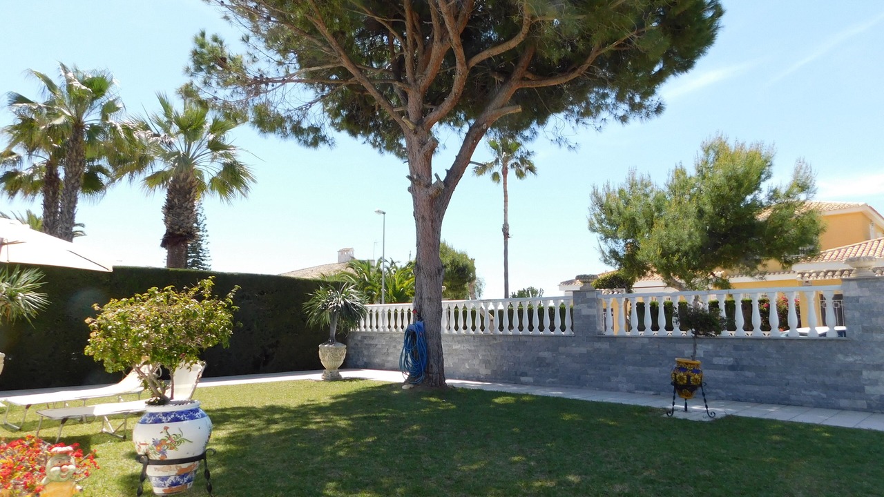 Photo of Outdoor in La Zenia