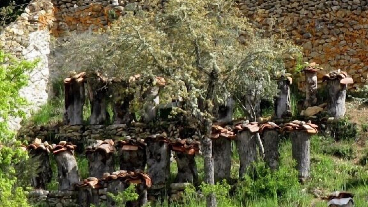 Photo of Outdoor in Ahedo del Butron