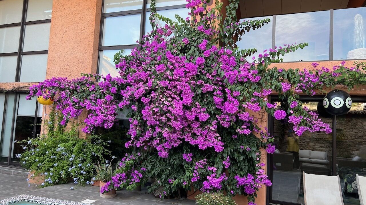 Photo of Outdoor in Aspiran