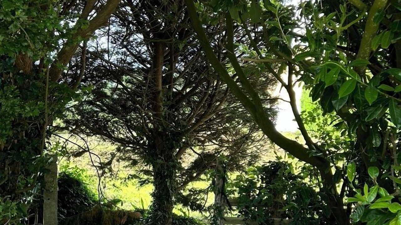 Photo of Outdoor in Sainte-Mere-Eglise