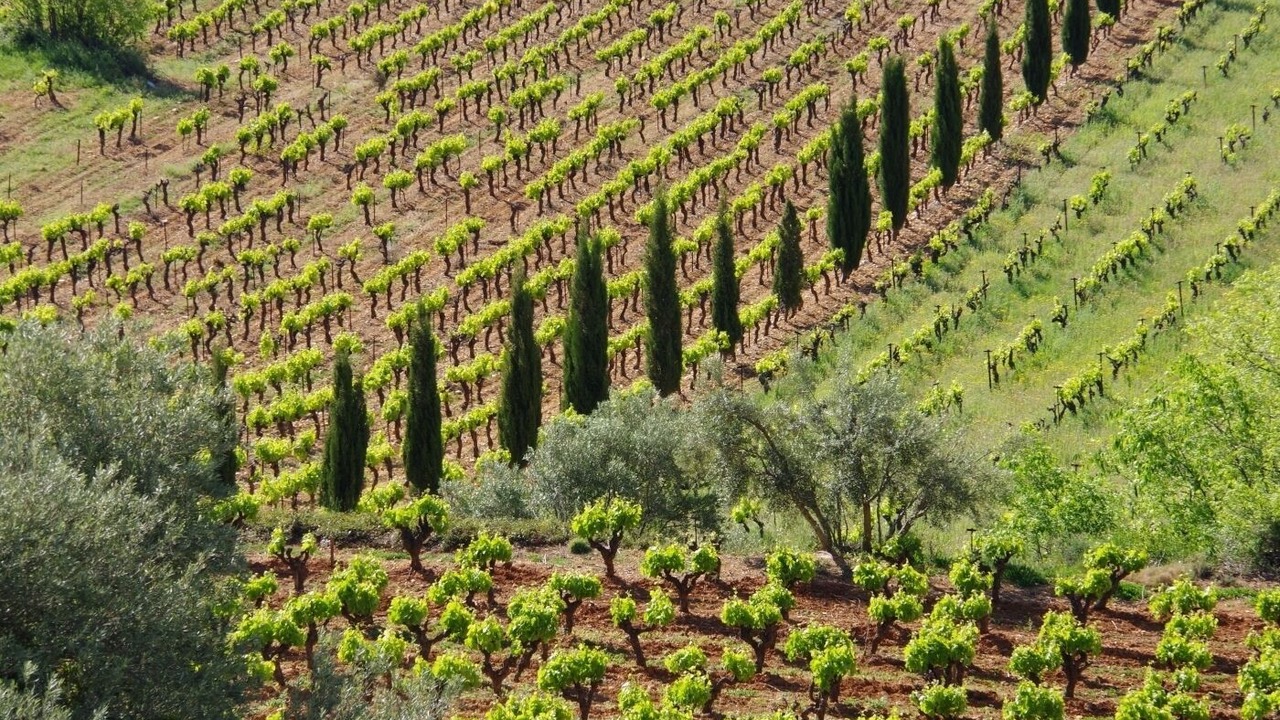 Photo of Outdoor in Saint-Guilhem-le-Desert