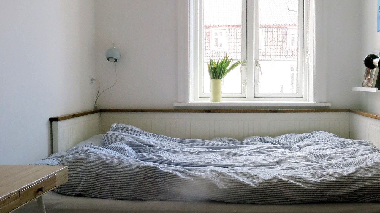 Photo of Others in København V