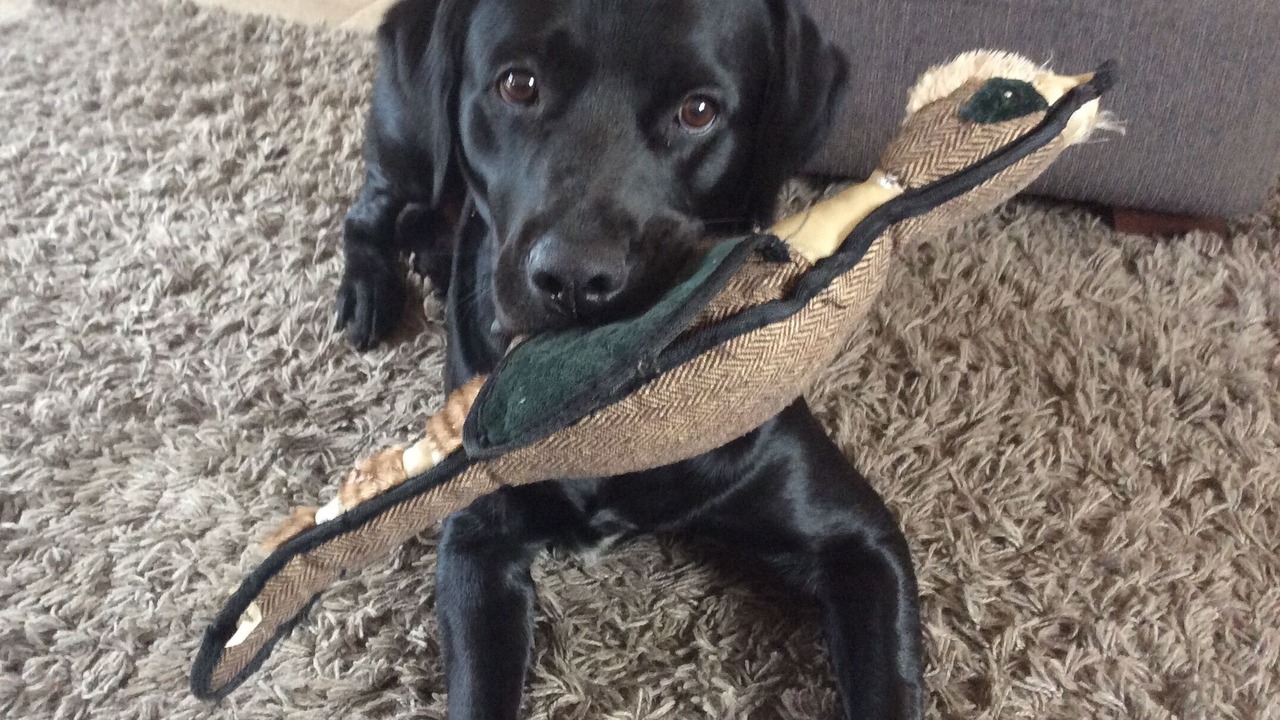 Photo of Others in East Drayton