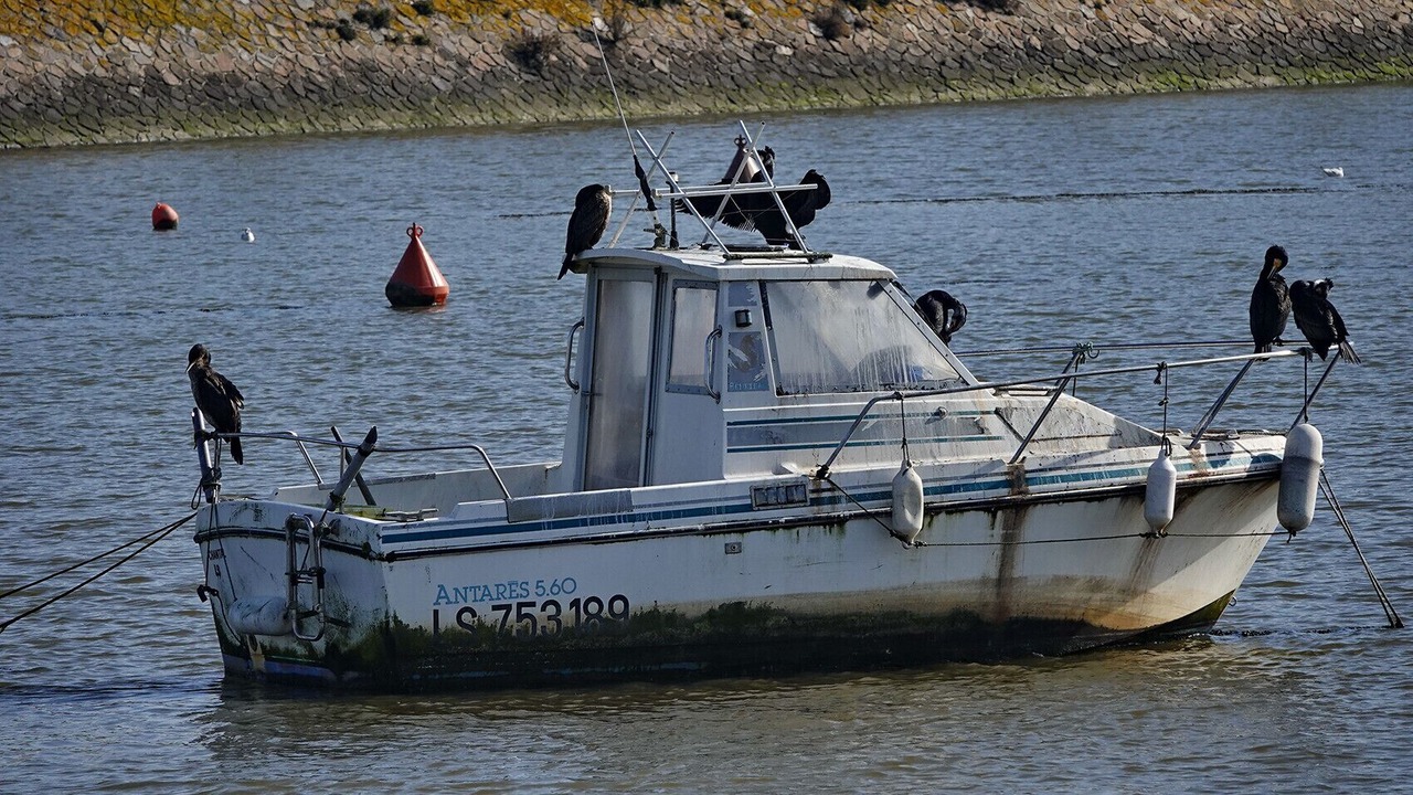 Photo of Others in Saint-Jean-de-Monts