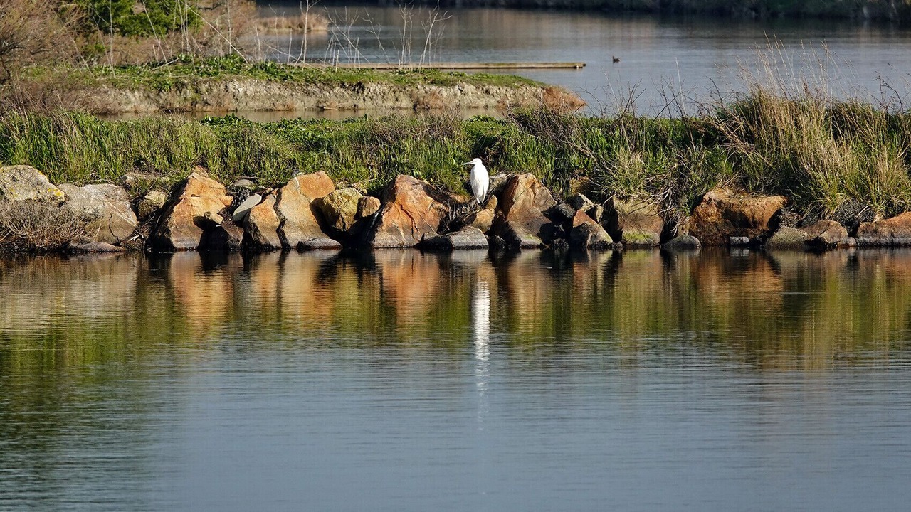 Photo of Others in Saint-Jean-de-Monts
