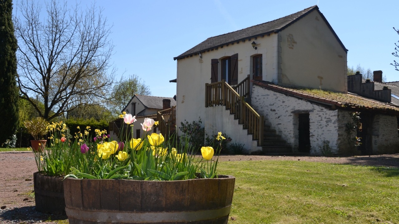 Photo of Outdoor in Bellevigne-en-Layon