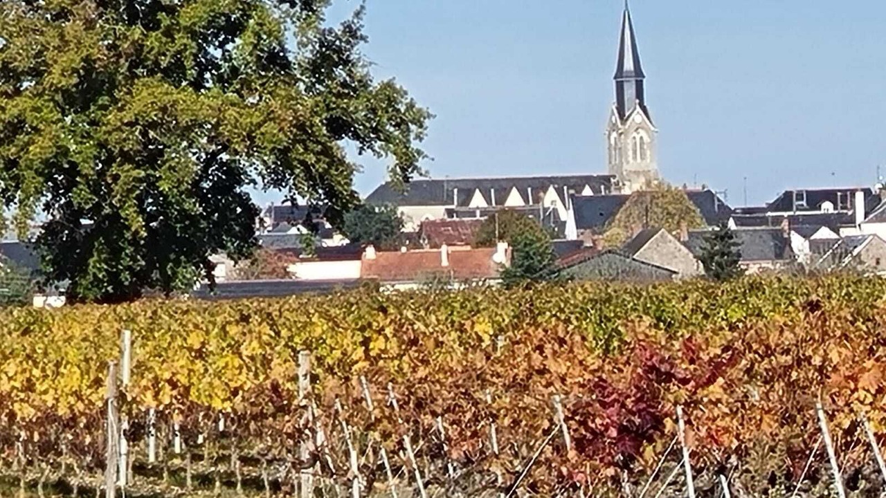 Photo of Outdoor in Bellevigne-en-Layon