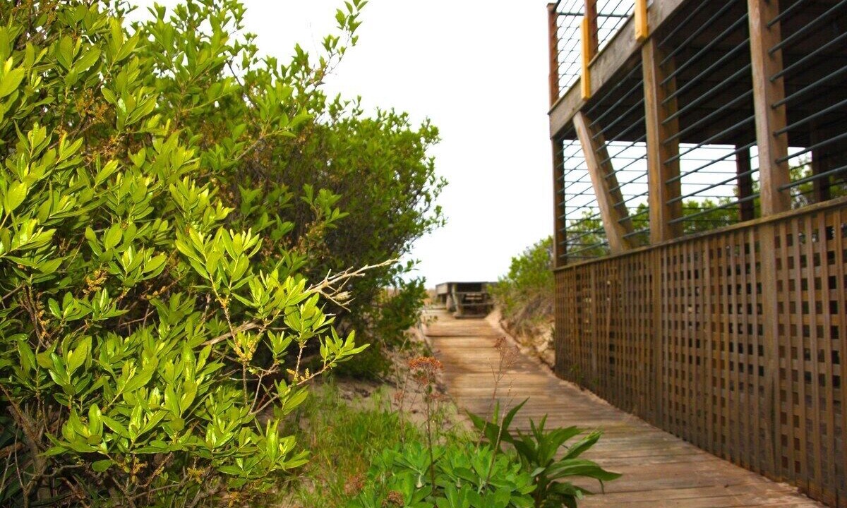 Photo of Outdoor in Broadkill Beach