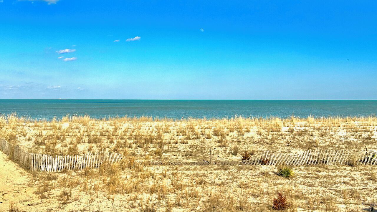 Photo of Others in Broadkill Beach