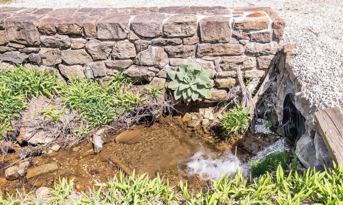 Photo of Outdoor in Wernersville