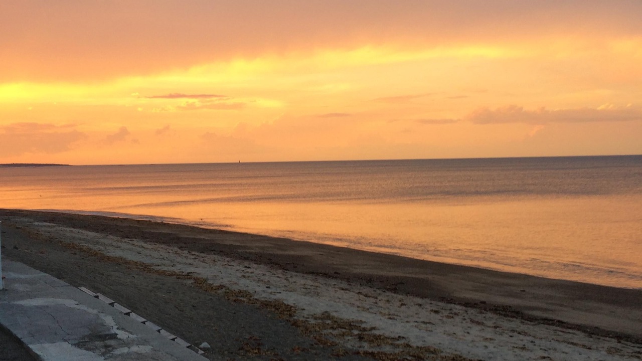 Photo of Others in Scituate