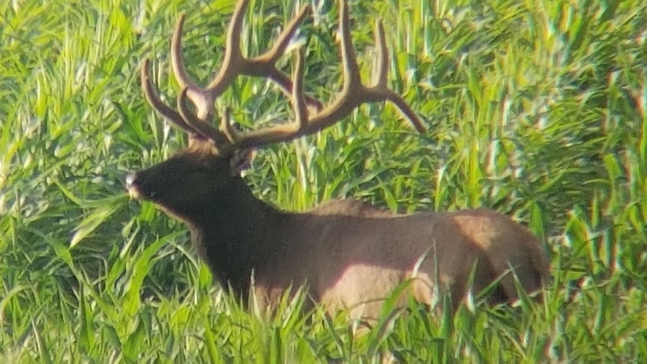 Photo of Outdoor in Hillman