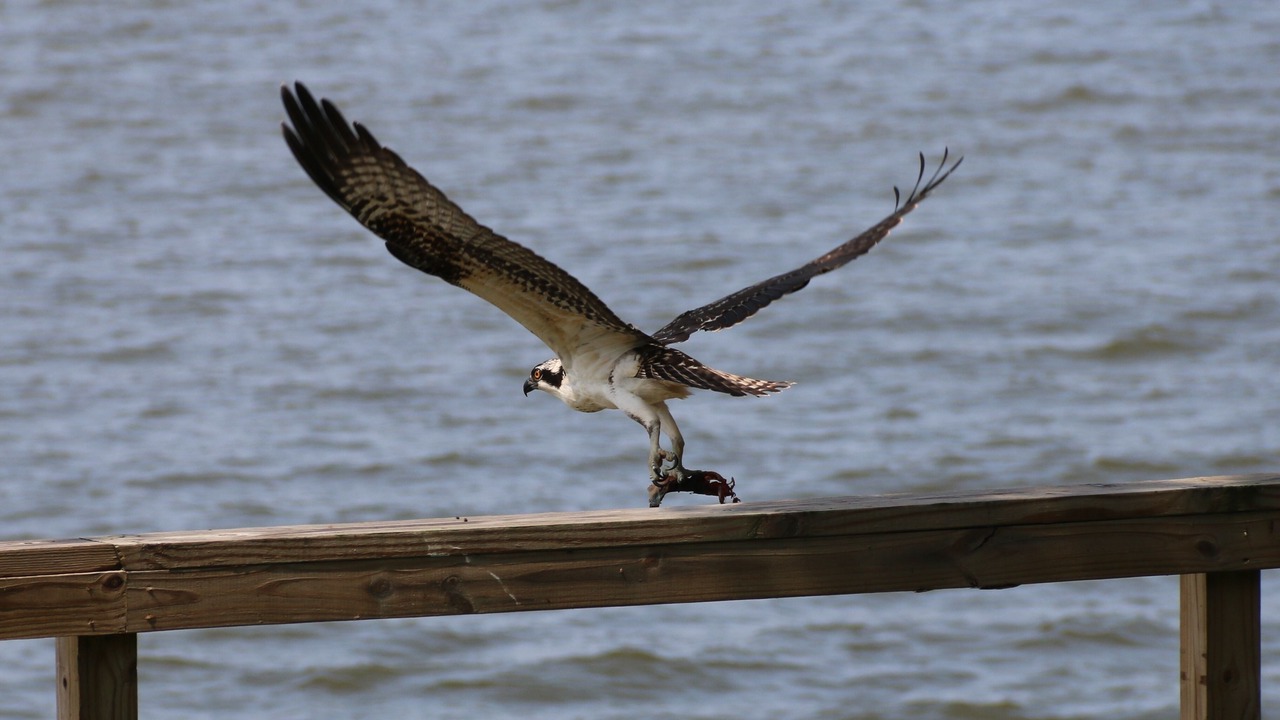 Photo of Others in North East