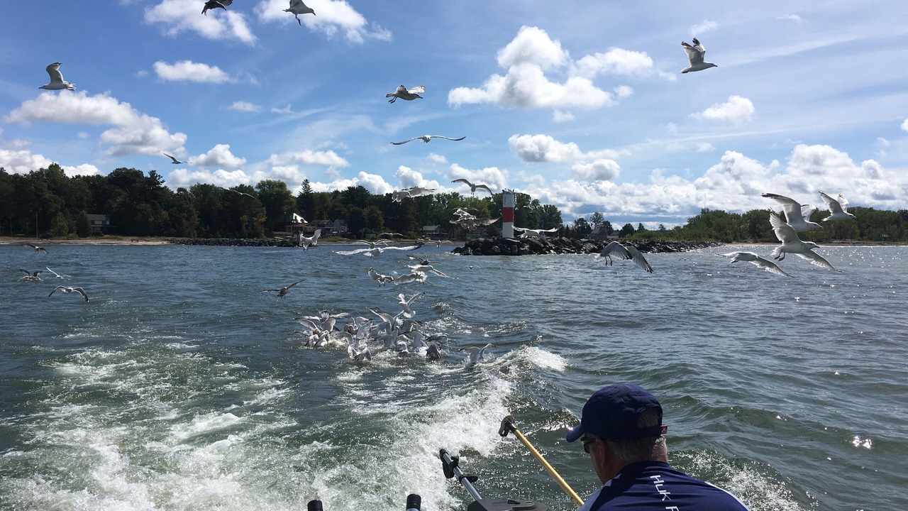 Photo of Others in Port Ontario