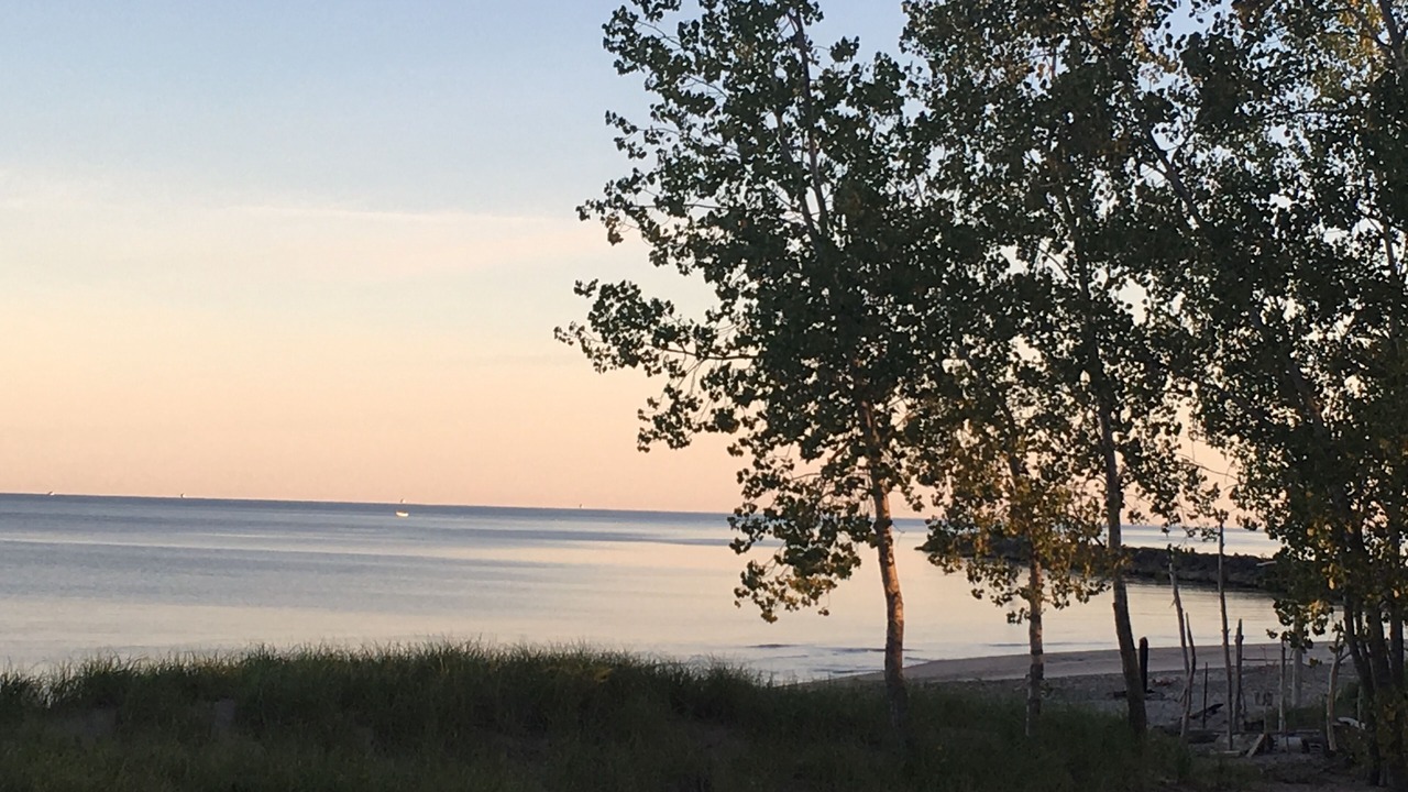 Photo of Others in Port Ontario