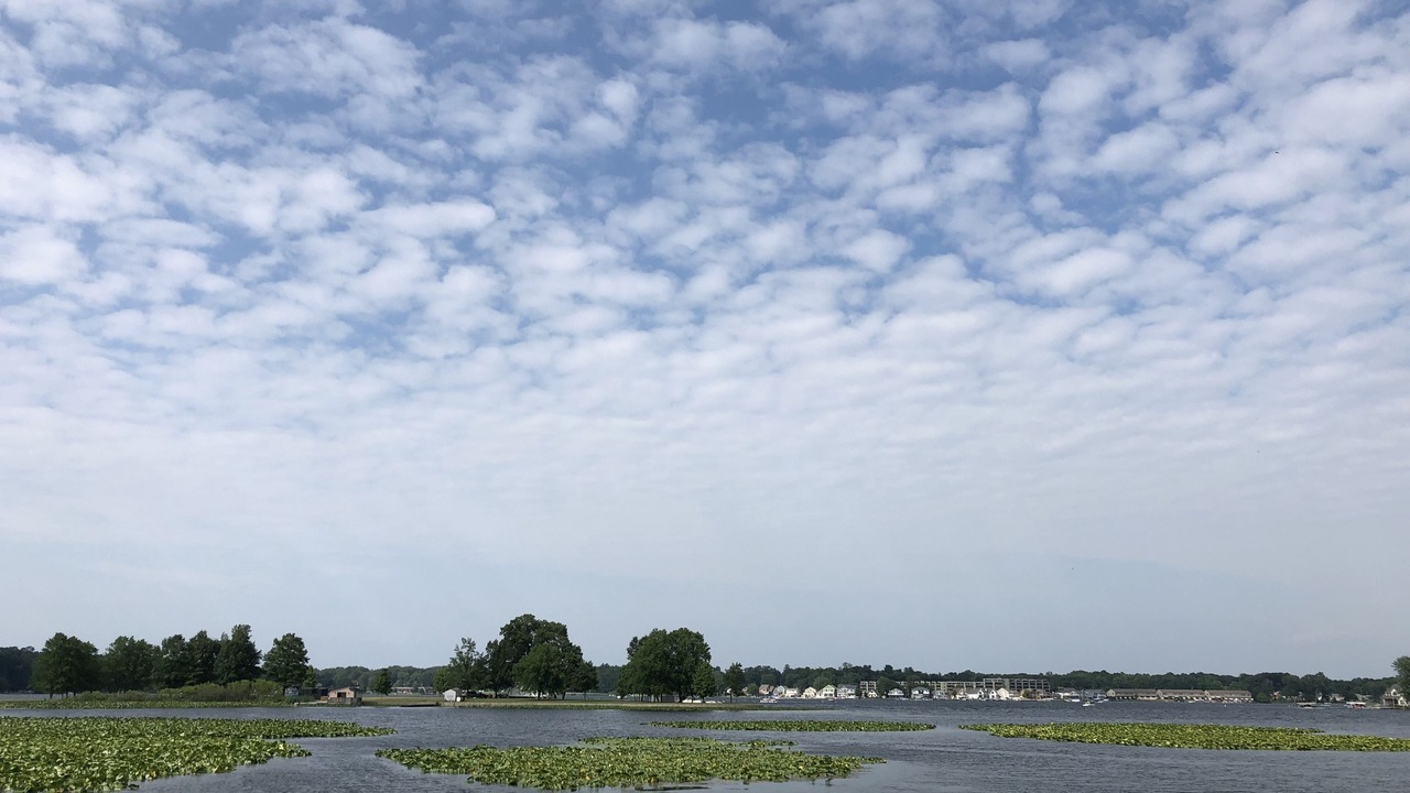 Photo of Outdoor in La Porte