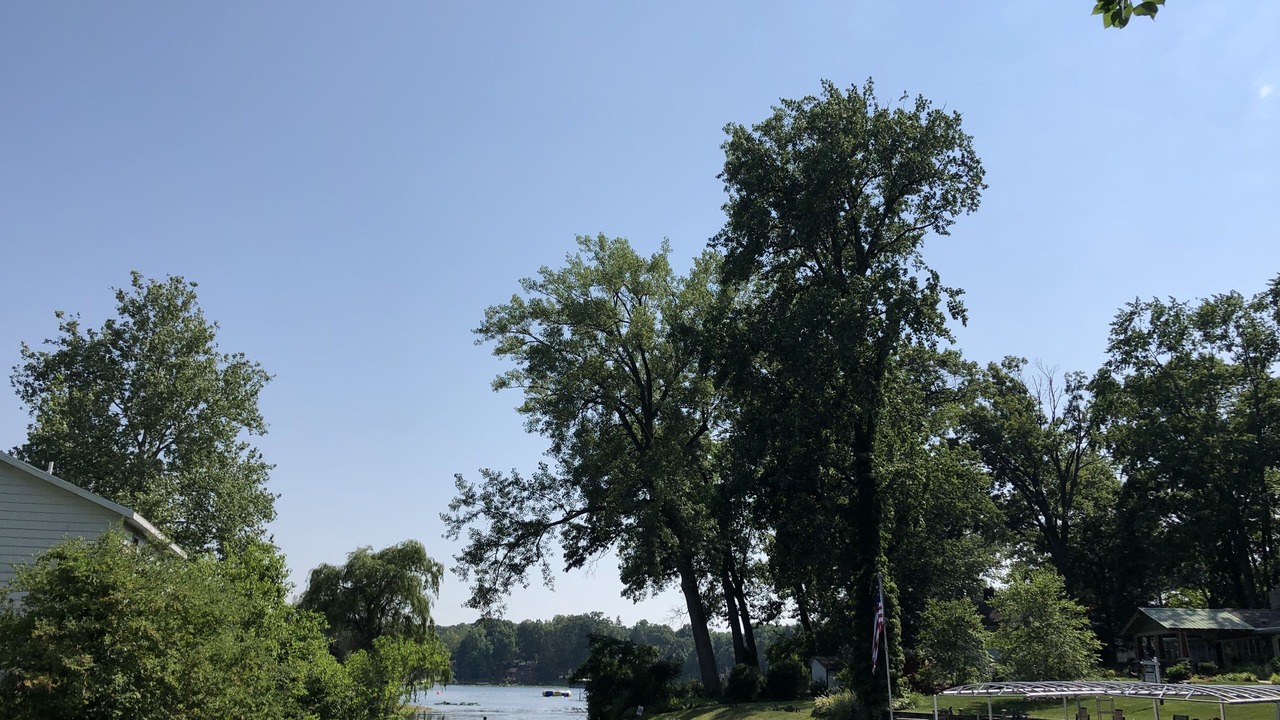 Photo of Outdoor in La Porte