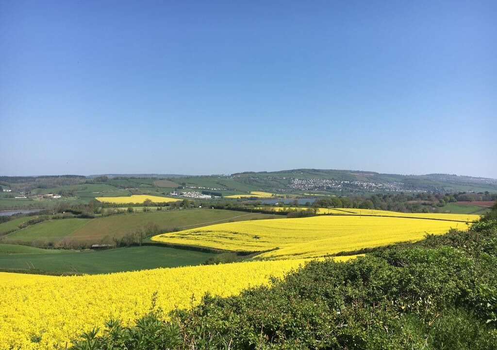 Photo of Others in Combeinteignhead