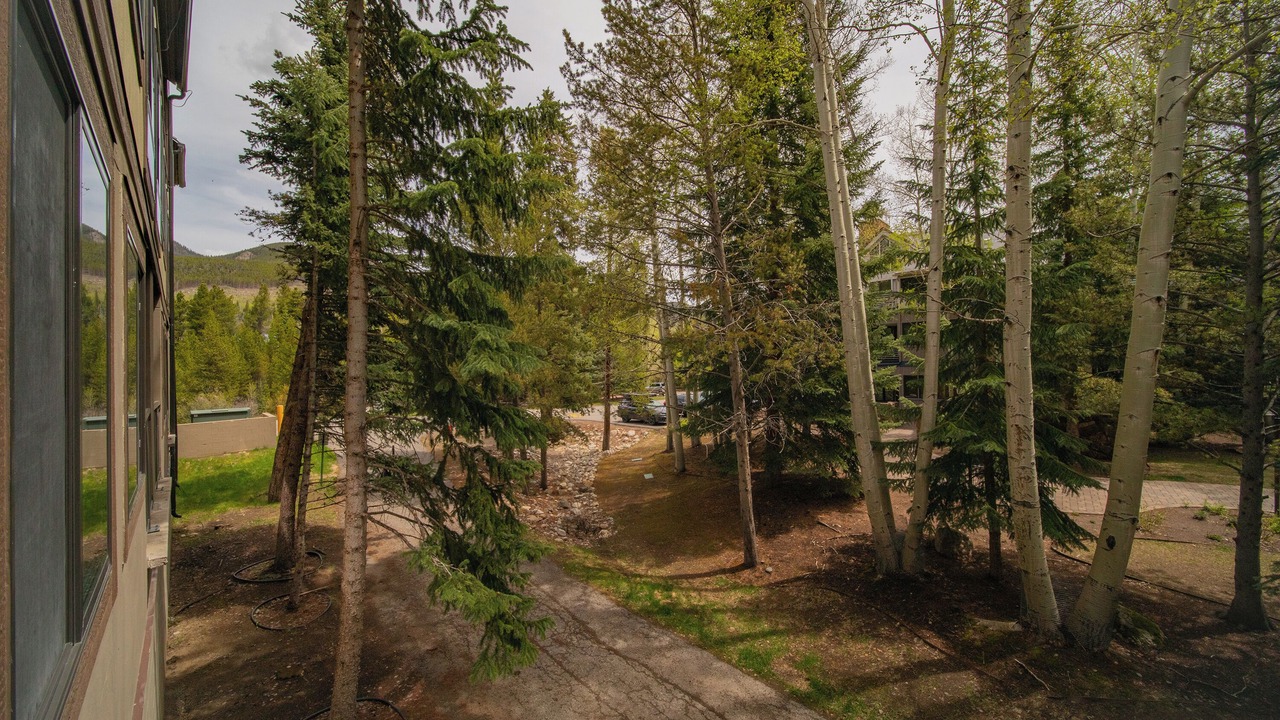 Photo of Others in Mountain House