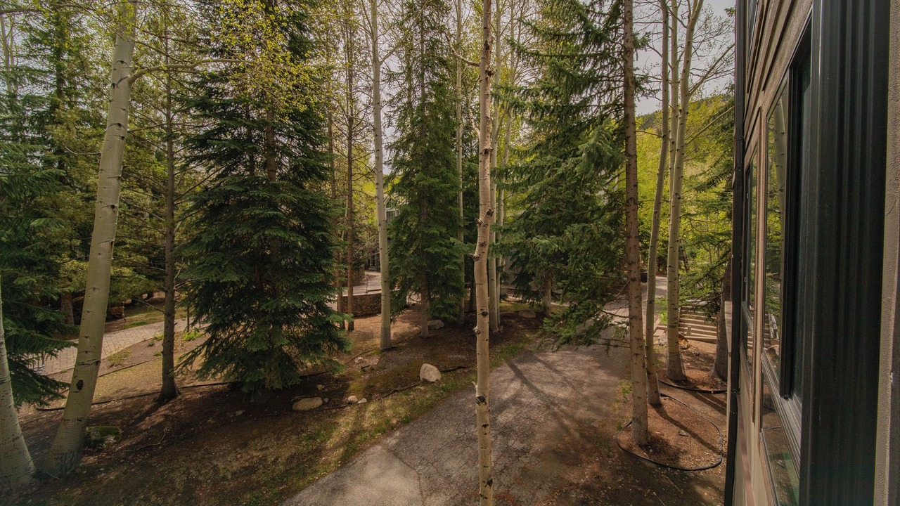 Photo of Others in Mountain House