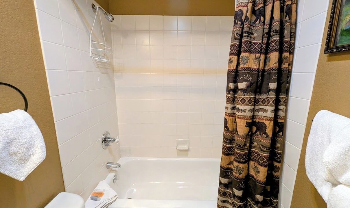 Photo of Bathroom in Mountain House