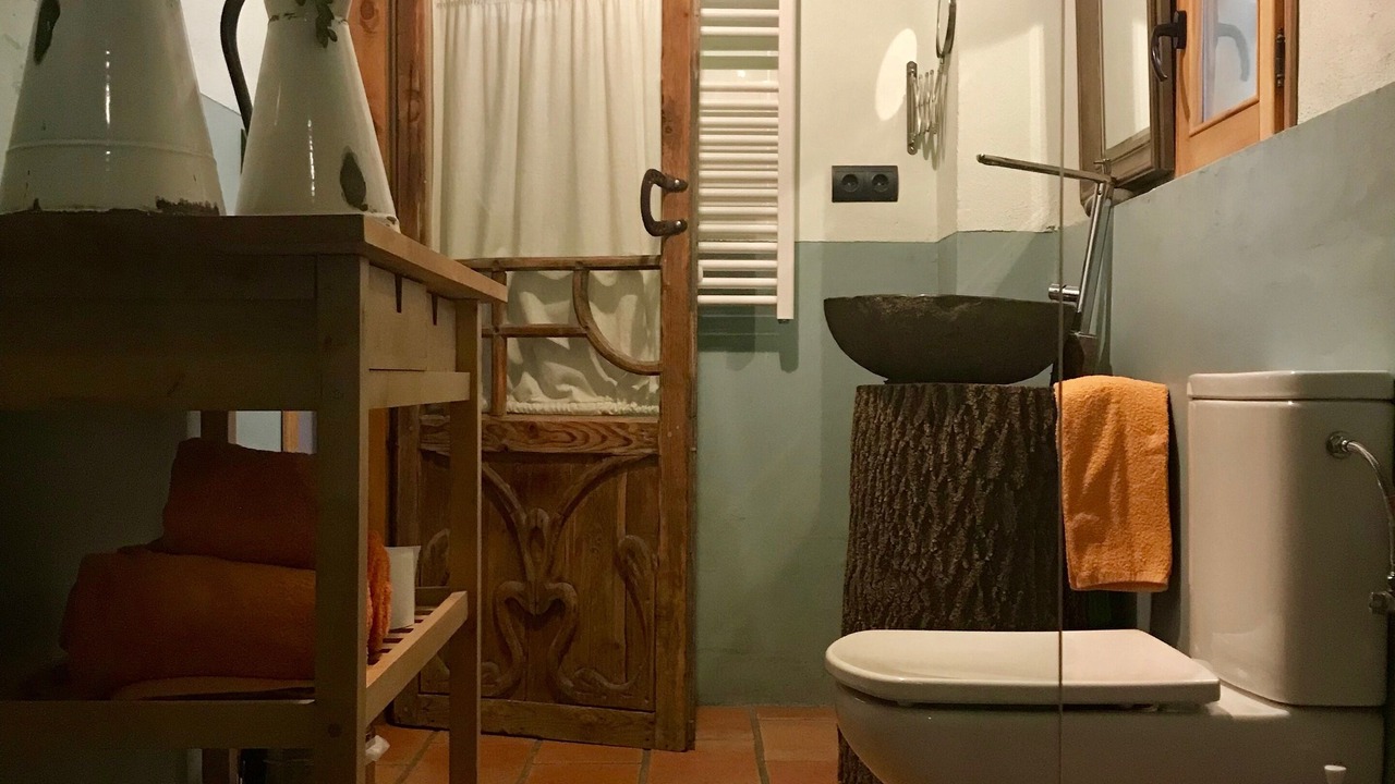 Photo of Bathroom in Benasque