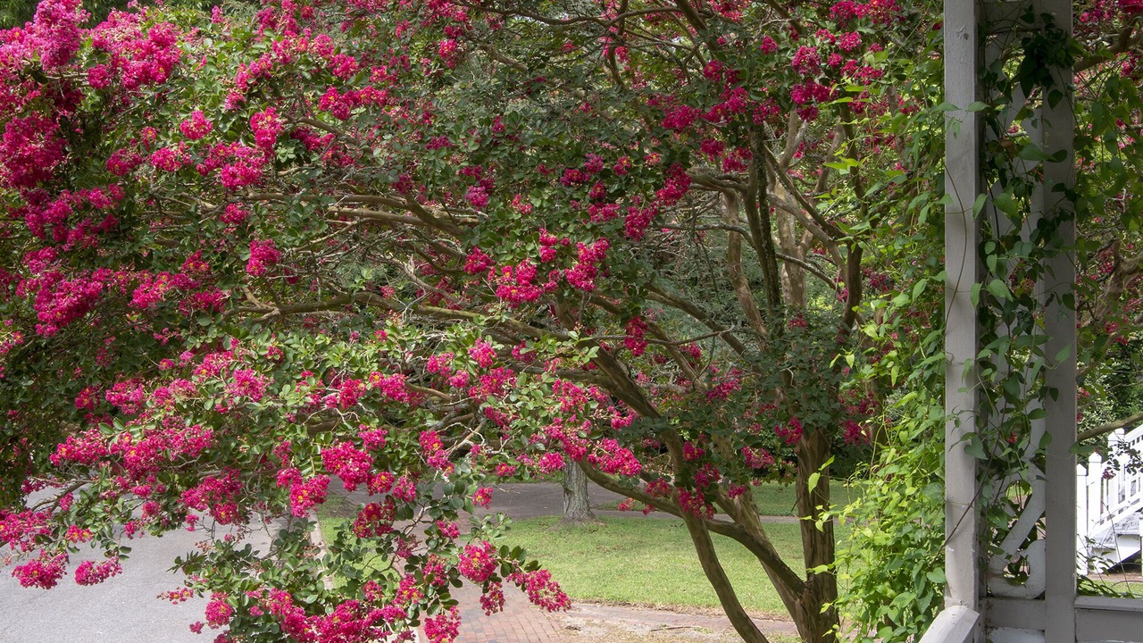 Photo of Outdoor in Murfreesboro