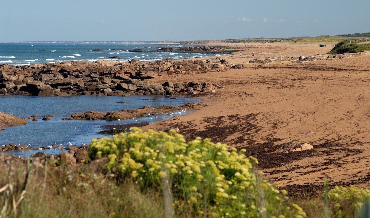Photo of Others in Les Sables d'Olonne