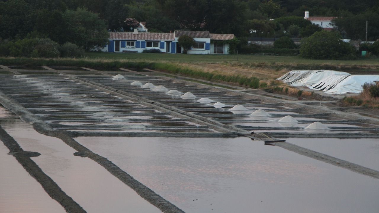 Photo of Others in Noirmoutier-en-l'Ile