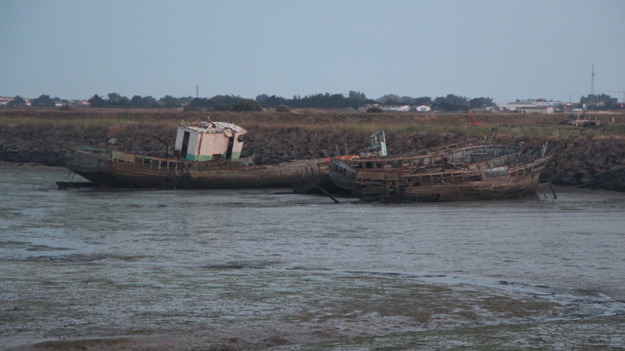 Photo of Others in Noirmoutier-en-l'Ile