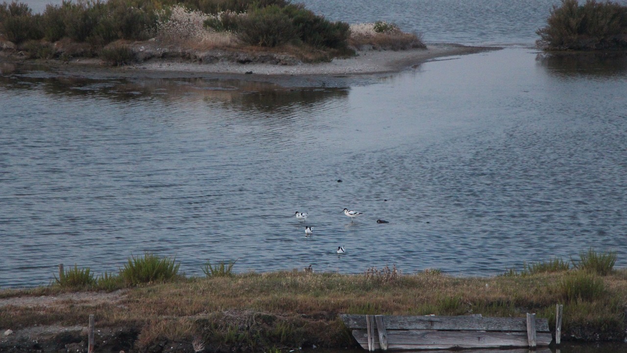 Photo of Others in Noirmoutier-en-l'Ile