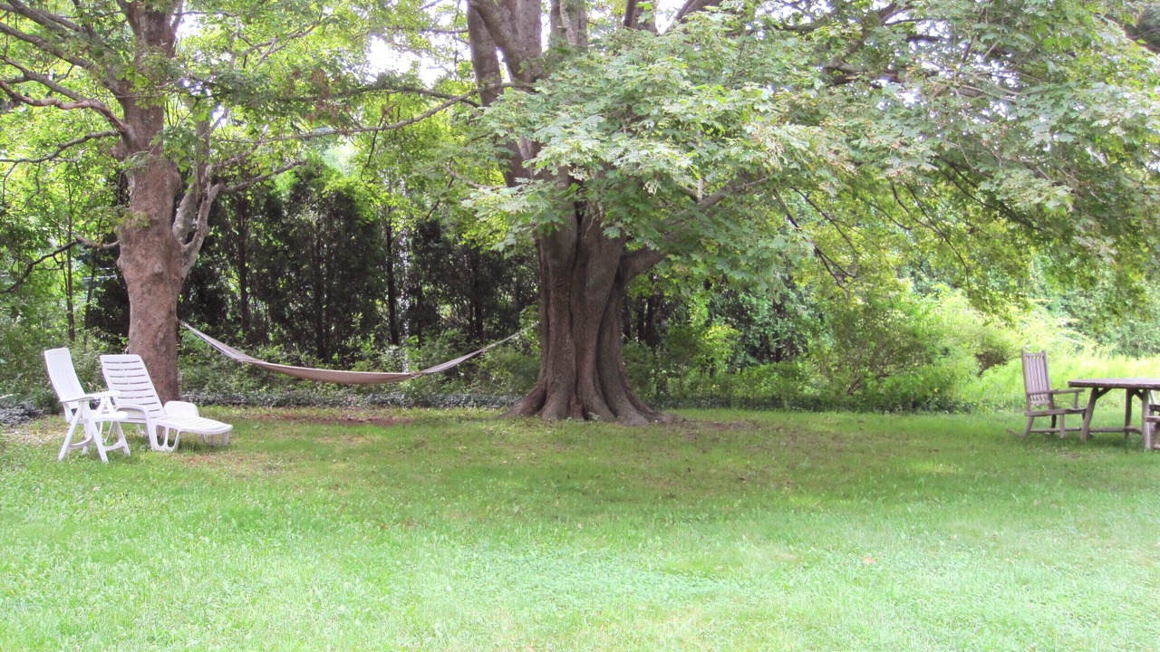 Photo of Others in West Brewster