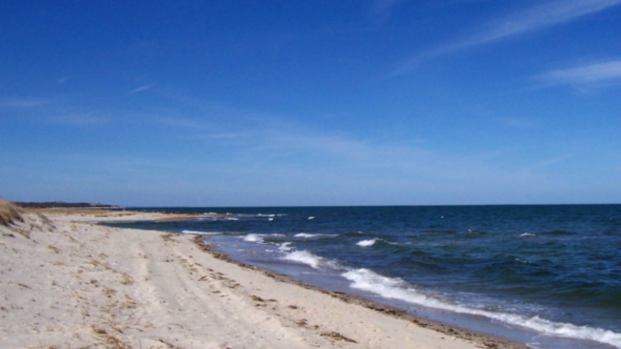 Photo of Others in West Brewster