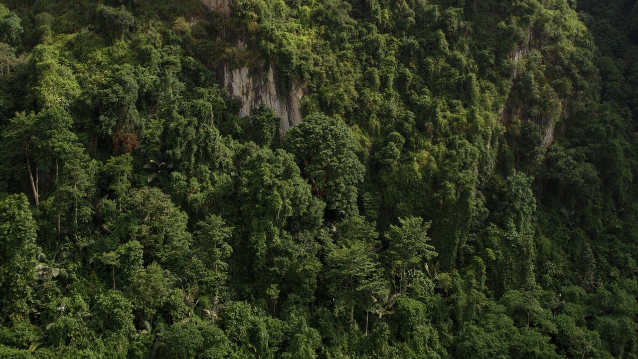 Photo of Others in Ulu Kinta