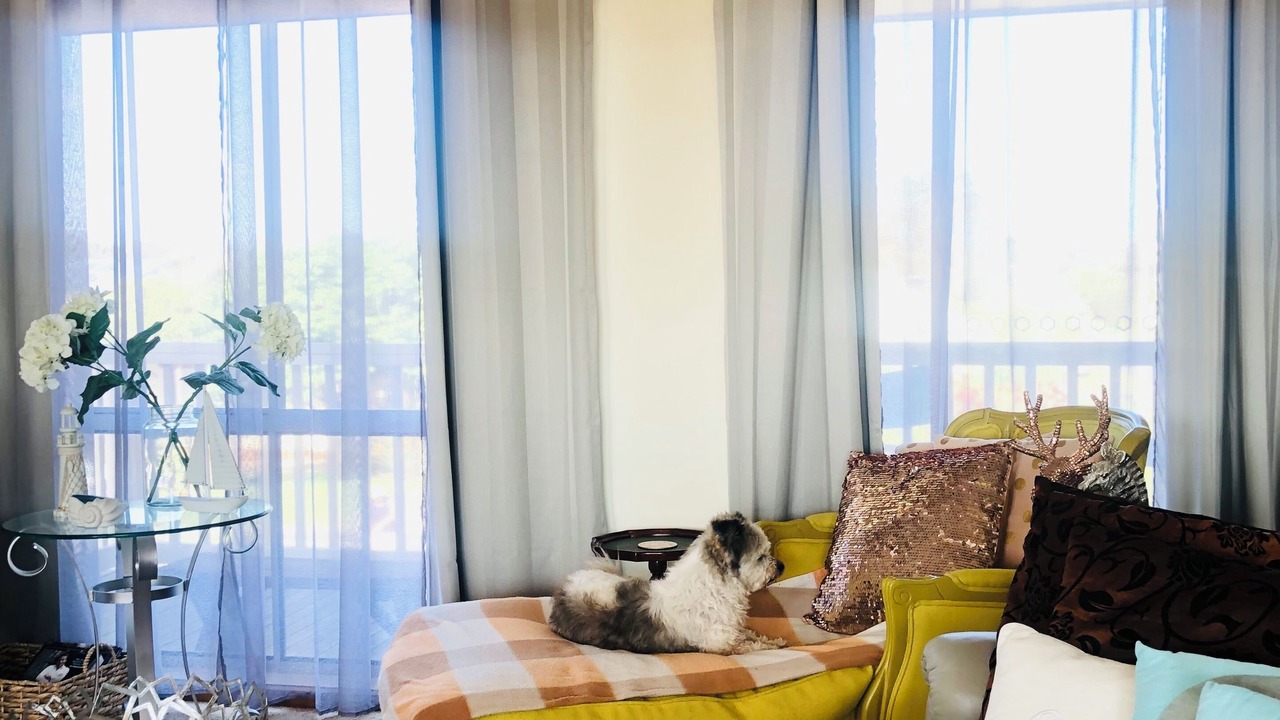 Photo of Livingroom in Coronet Bay