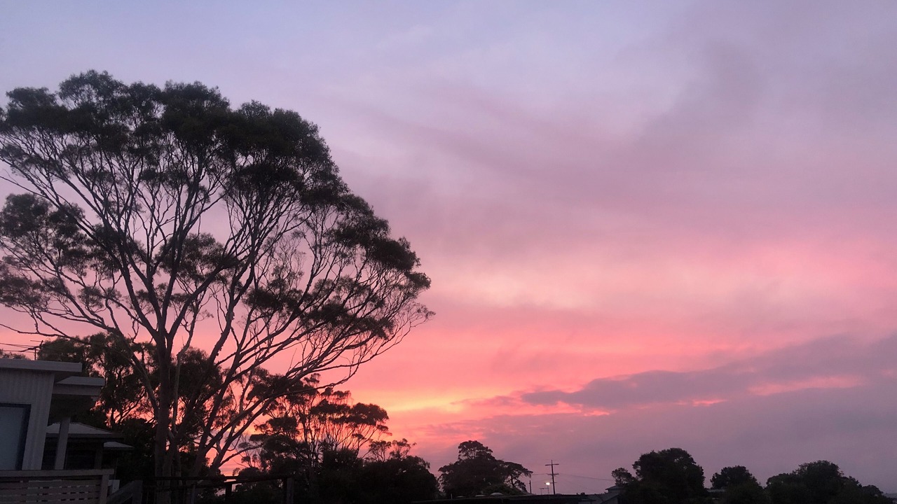 Photo of Others in Coronet Bay