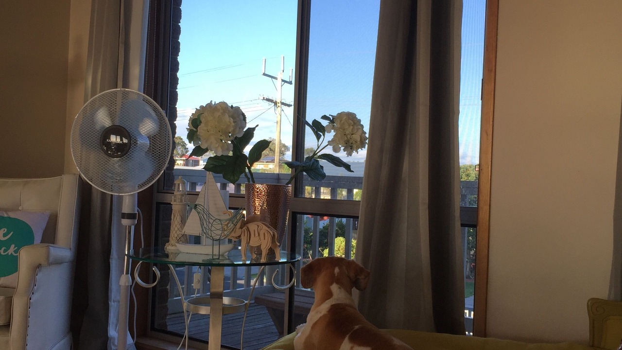 Photo of Others in Coronet Bay