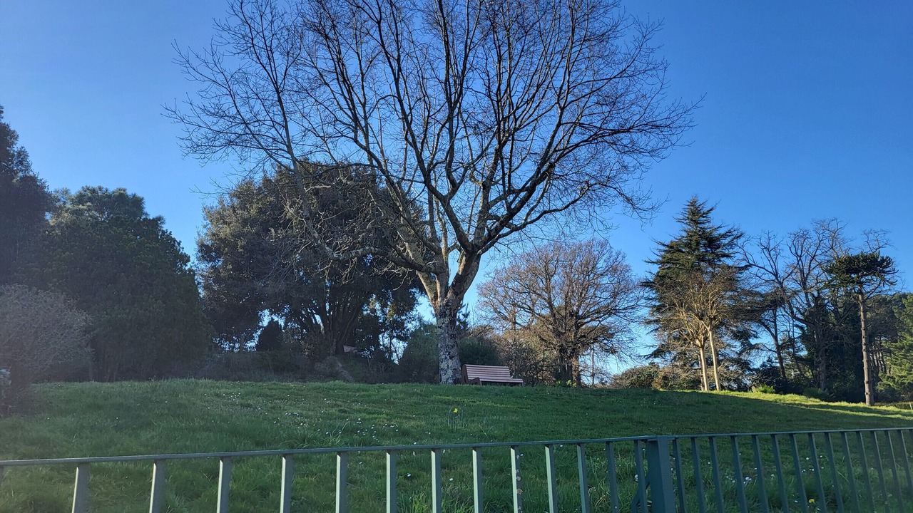 Photo of Outdoor in Saint-Brevin-l'Ocean