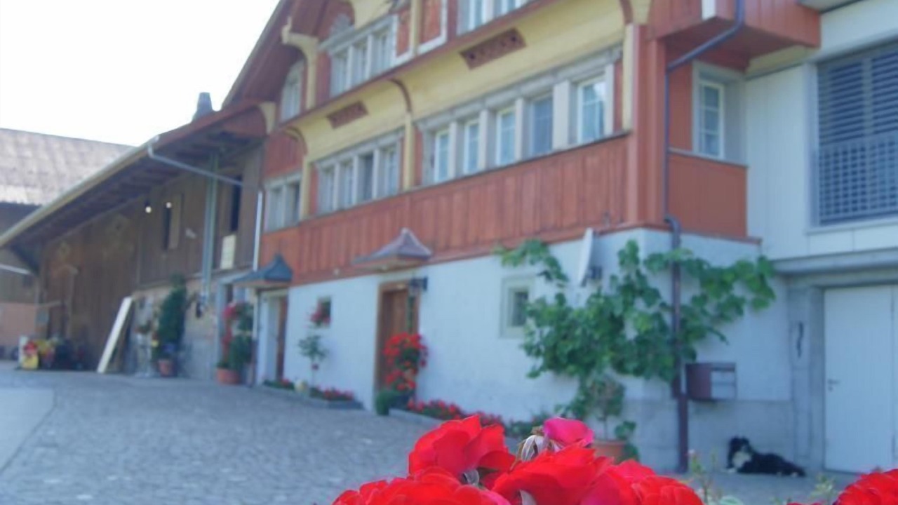 Photo of Others in Mosnang