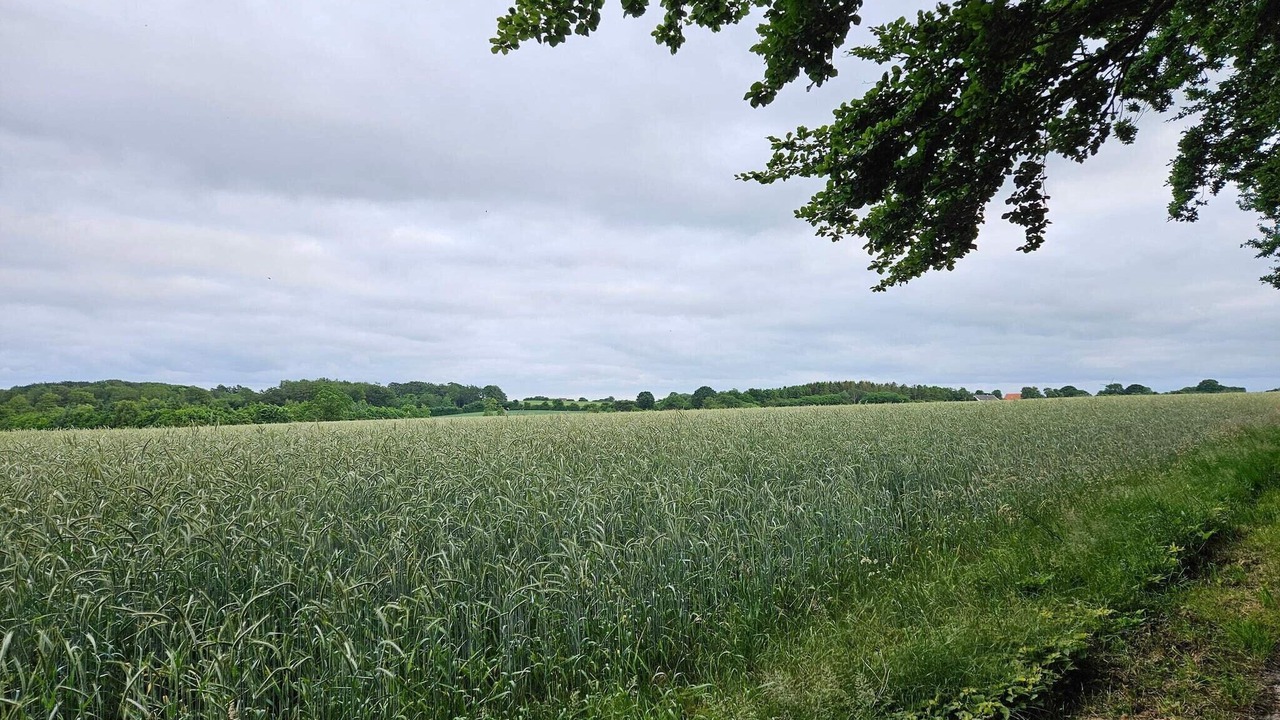Photo of Others in Hejlsminde