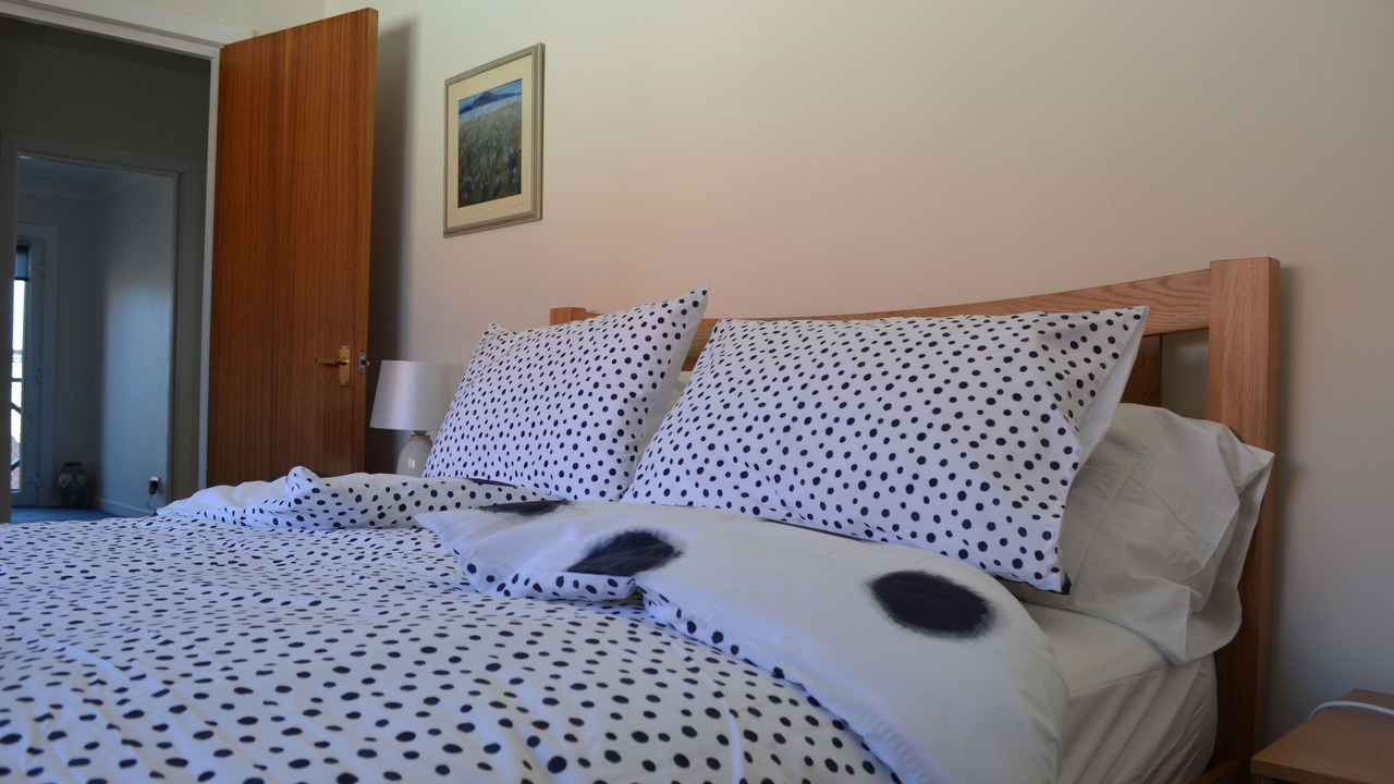 Photo of Others in Dunbar