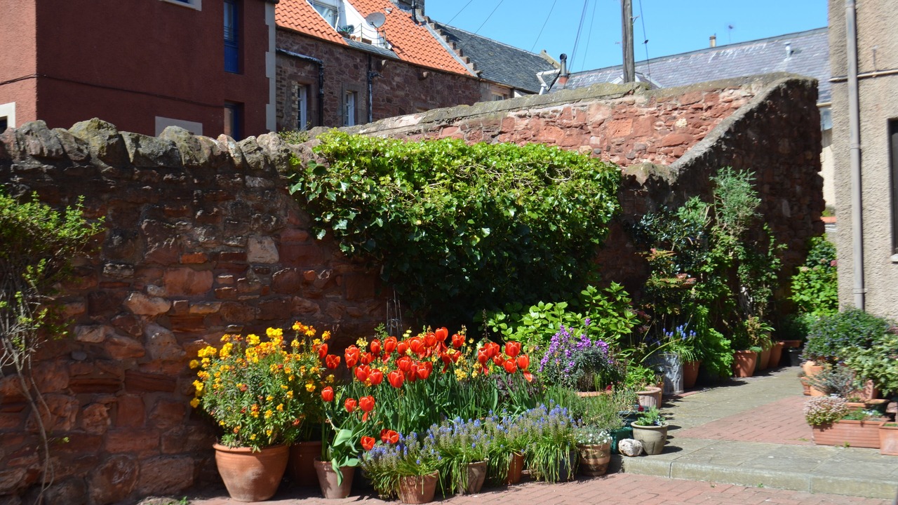 Photo of Outdoor in Dunbar