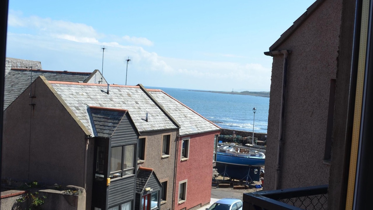 Photo of Others in Dunbar