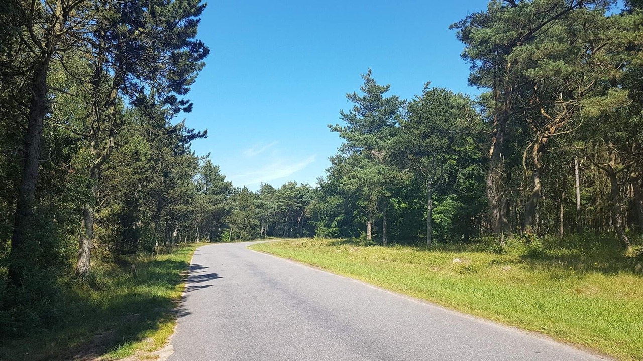 Photo of Others in Læsø