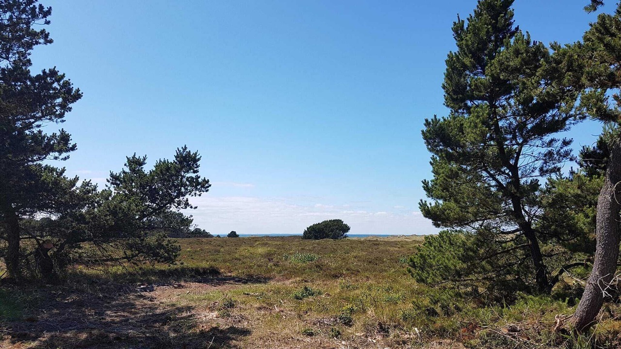Photo of Others in Læsø