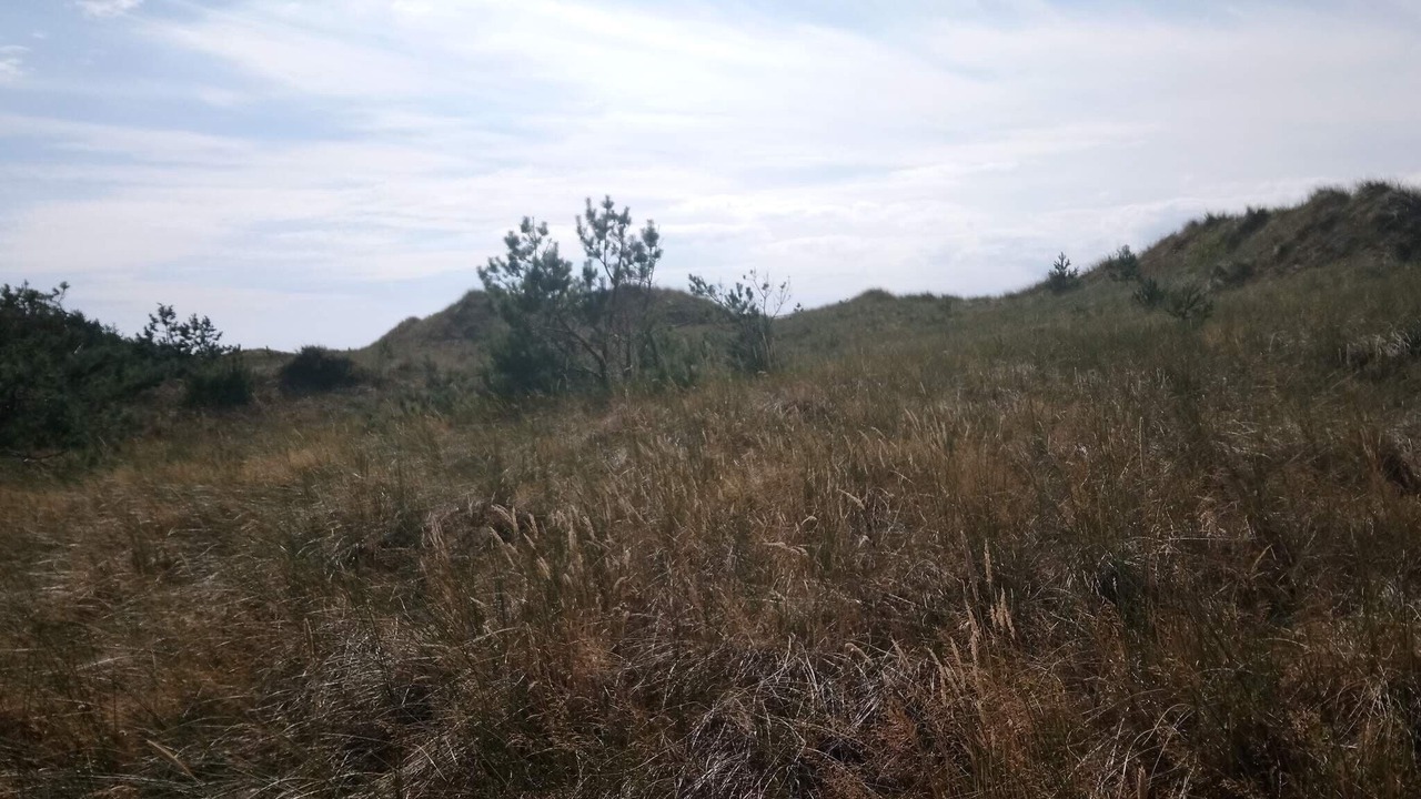 Photo of Others in Læsø